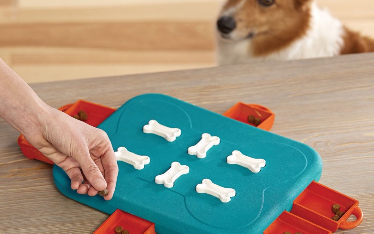 狗狗在飼主陪伴下操作 Nina Ottosson Dog Casino Level 3 益智玩具